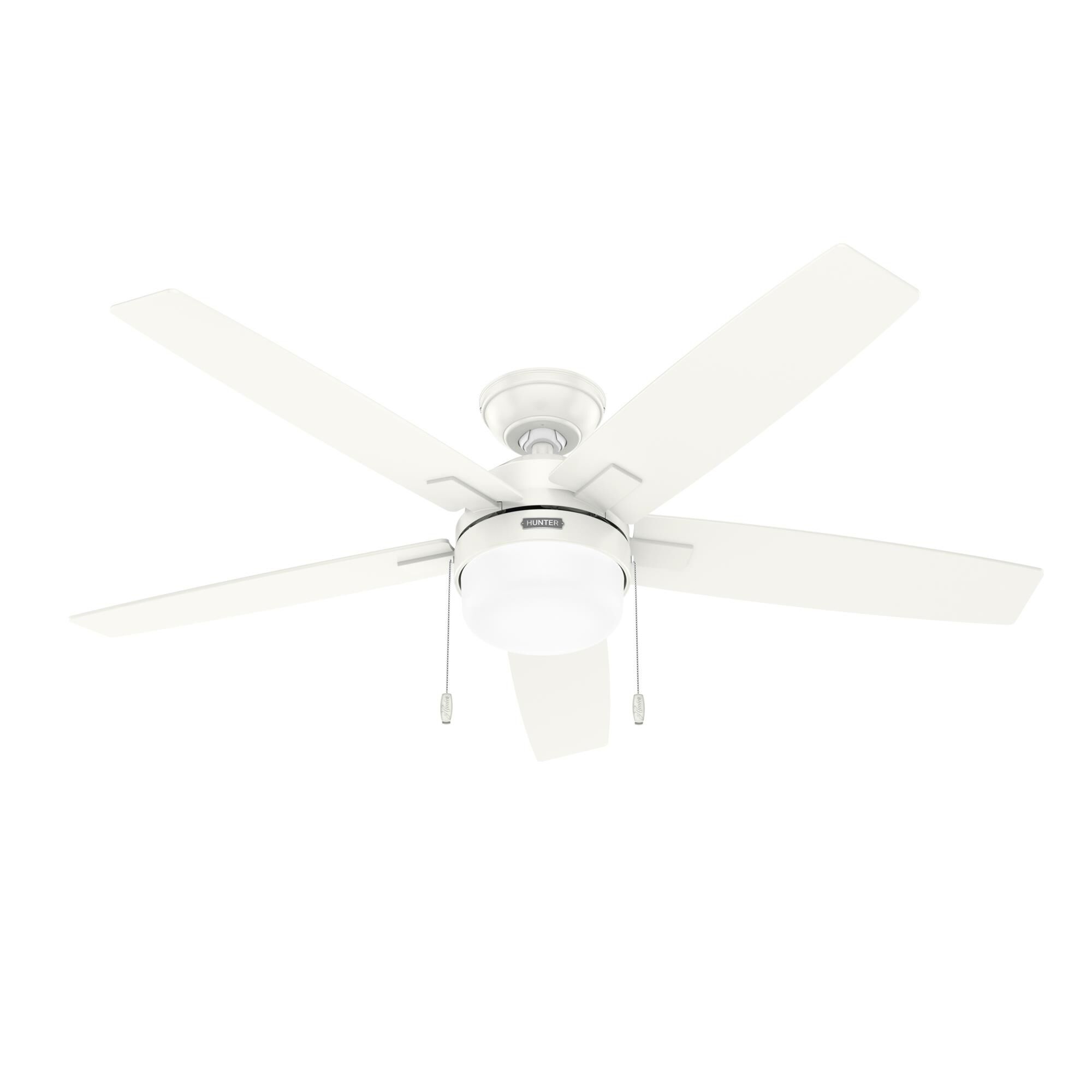 Hunter Fan Anisten 52 Inch Ceiling Fan with Light Kit - 52773