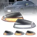 2PCS Indicatore di direzione Indicatore specchietto laterale Lampeggiante per Mercedes Benz Classe C W204 S204 Viano Vito W639 ML W164 LED bianco DRL