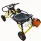 Go Kart fuoristrada per adulti Buggy Dune a 4 ruote, veicolo fuoristrada con struttura in acciaio