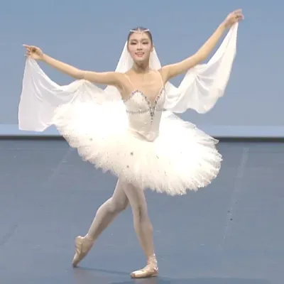 Adult White Professional Ballet Tutu Women Ballet Dance Competition Costume Figure Skating Dress