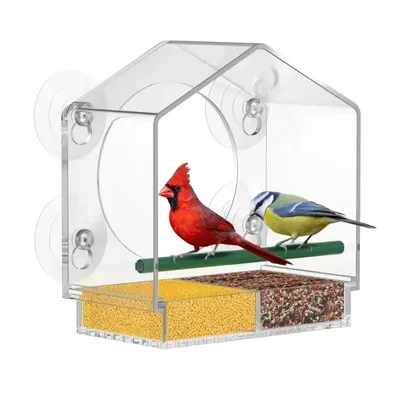 Window Type Bird Feeder, Reusable Tray, Waterproof Transparent Squirrel Food Container, Outdoor Suction Cup Installation
