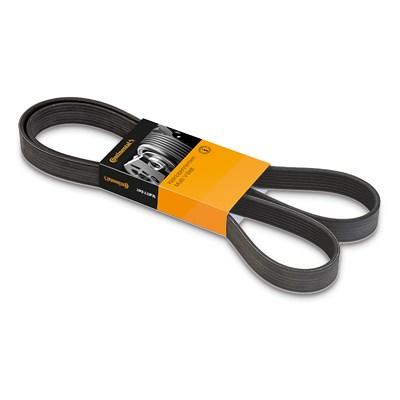 Continental Ctam Keilrippenriemen [Hersteller-Nr. 6PK1555] für Audi, BMW, Chevrolet, Ford, Opel, Renault, Saab, Vauxhall, Volvo, VW Image