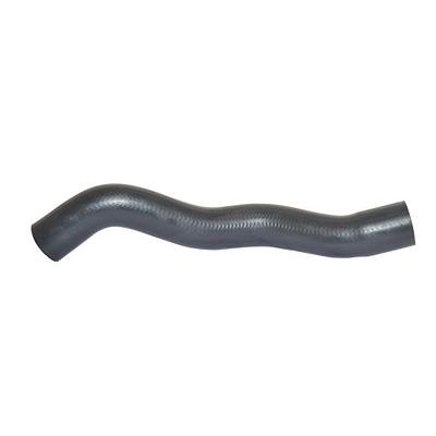 Bugiad Ladeluftschlauch [Hersteller-Nr. 88776] für Dacia, Renault Image