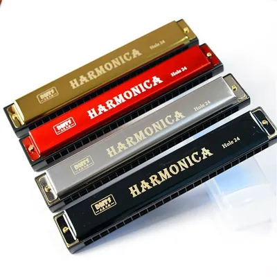 Miwayer Professional 24 Hole Harmonica Mouth Metal Organ for Beginners with Case for Beginner
