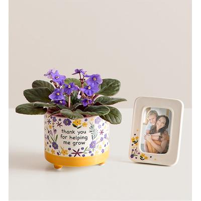 1-800-Flowers Plant Delivery Thanks For Helping Me Grow African Violet W/ Frame