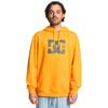 Kapuzensweatshirt DC SHOES "DC Star", Herren, Gr. M, gelb (radiant gelb), 55% gekämmte Baumwolle, 25% Baumwolle, 20% Polyester, Langarm, Sweatshirts