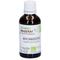 Gemmo Mazerat BIO Brombeere 50 ml Tropfen zum Einnehmen