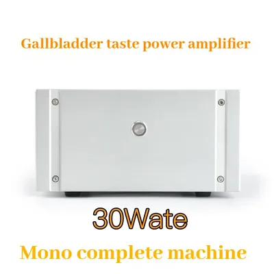 Lingdian Pure Class A-PASS Aleph-3 30W Pure Class A Mono-Nachverstärker Image
