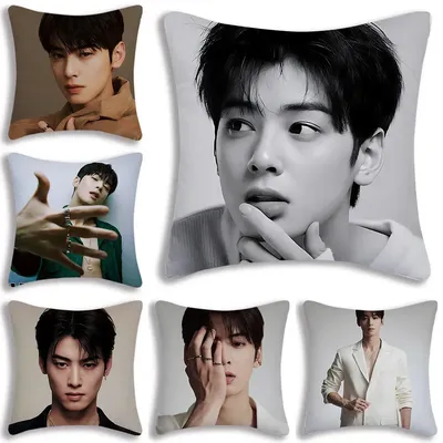 Kpop Singer Cha E-Eun W-Woo Kissenbezüge, Cartoon-Sofa, dekorativ, Zuhause, einseitiger Druck, Image