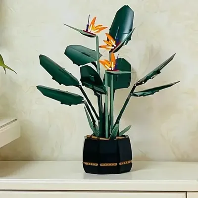 Flowers+Plants