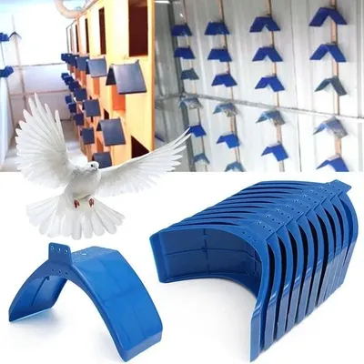 Bird+Supplies