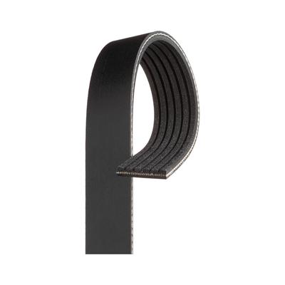 AC Delco Serpentine Belt, Lifetime limited warranty 6K480A