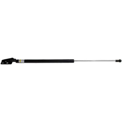 Lesjofors Lift Support Gas Spring, Driver or Passenger Side, 2-year limited warranty 8155403