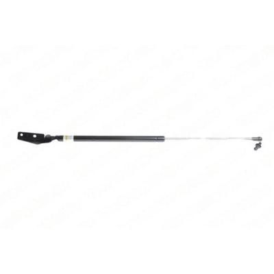 Lesjofors Lift Support Gas Spring, Driver or Passenger Side, 2-year limited warranty 8188310