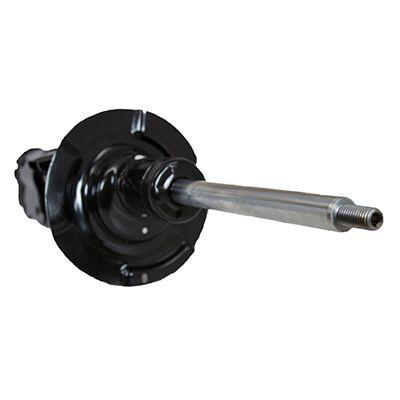 Motorcraft Shock Absorber & Strut Assembly Black OE Replacement, Front, Passenger Side, AST306