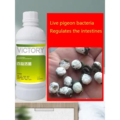 Meat Pigeon Racing Pigeon Homing Pigeon Diarrhea Diarrhea Green Stool Gastrointestinal Probiotics