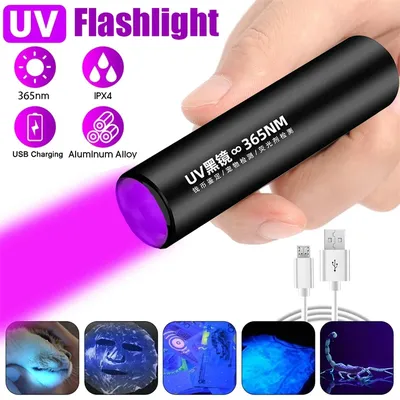 USB Rechargeable 365nm UV Flashlight Mini Aluminum Alloy Torch For Pet Urine Stain Bacterium