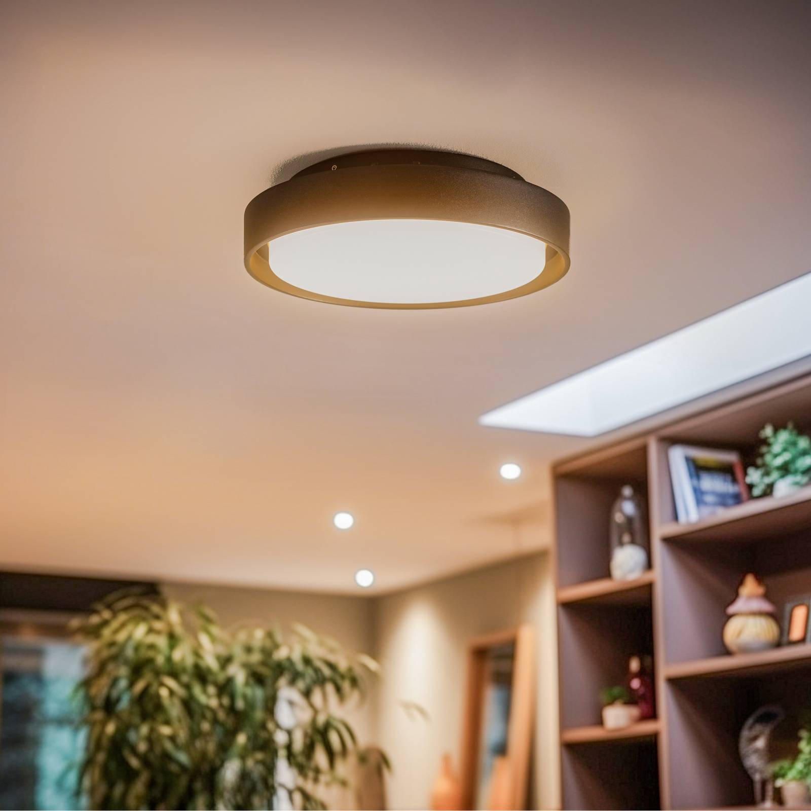 BRUMBERG 60107 LED-Deckenleuchte, rund, schwarz, für Flurbereich, Aluminium, LED Deckenleuchte