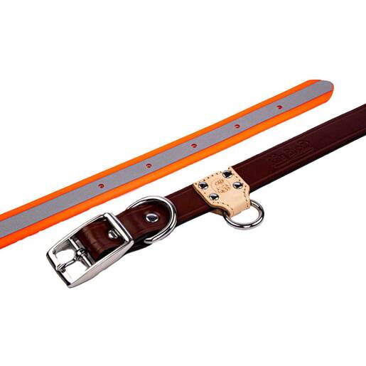 King Buck O Ring High Visibility Reflective Collar - Orange - Orange Medium/Large
