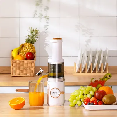 NEW Electric Fruit Vegetable Juicer Machine Mini Slow Juicer Screw Cold Press Extractor Patented