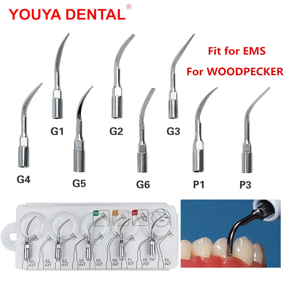 5 stücke Dental Scaler Tipps Fit Für EMS Specht Ultraschall Scaler Handstück G1-G6 P1 P3 Skalierung Spitze Zahnmedizin Zubehör Image