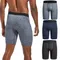 Gamba lunga Confezione da 3 pezzi Mutandine da uomo Intimo in poliestere Boxer e mutande di marca maschile per Homme Lotto Set di lusso Pantaloncini sexy Slip
