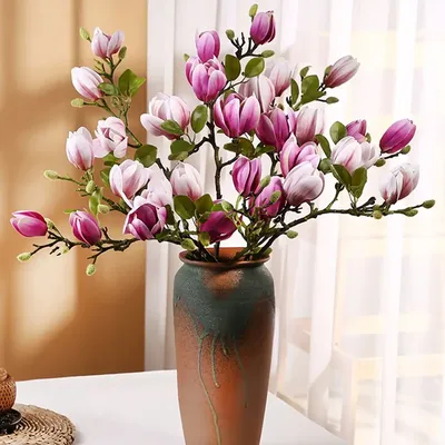 Vases