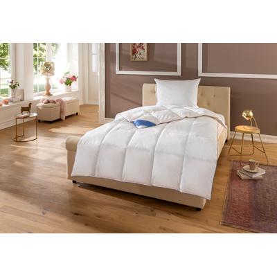 Daunenbettdecke HANSE BY RIBECO "Lina", weiß, B:200cm L:200cm, Füllung: 90% Daunen, 10% Federn, Bettdecken, Hochwertiges Naturprodukt Image