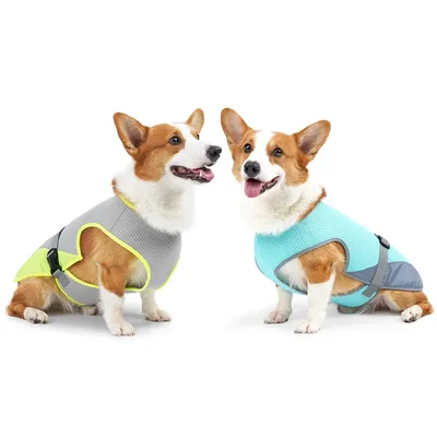 Sommer kühlende Hunde weste atmungsaktive Netz kleidung für kleine große Hunde Outdoor Haustier Cool Image