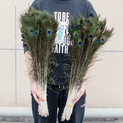 Wholesale Natural Peacock Feathers 25-30CM 40-45CM for Crafts Jewelry Accessories Wedding Table
