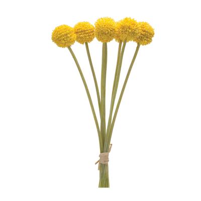 Pod Bundle (Set of 6) 13.25