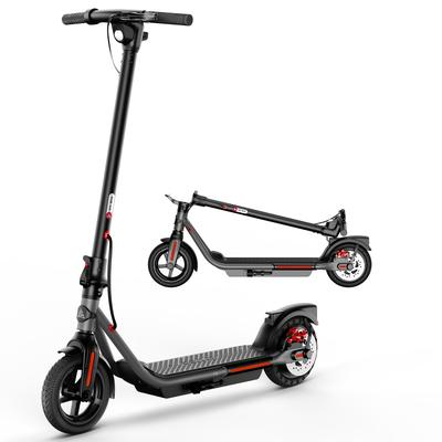 TEMU Tst 300w Folding Electric Scooter With 8.5