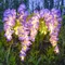 Lampes solaires de jardin extérieures, 4 Branches, lumières de fleurs pour l'extérieur, 2 Modes, décoration de jardin étanche pour cour, Patio, allée, arrière-cour