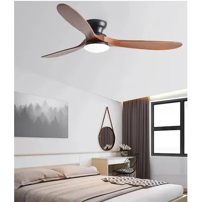 Ceiling+Fans