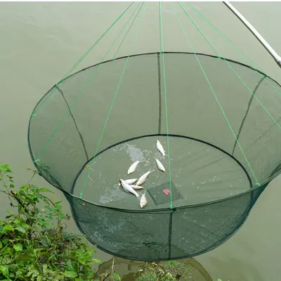 Fishing+Gear