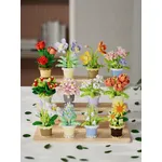 Jouer vidéo des blocs de construction en pot simulent des bouquets de fleurs succulentes, des jouets