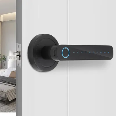 Smart Fingerprint Door Lock Keyless Entry Biometric Door Lock with Handle Set Support Key & Password Unlock and Intelligent