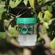 Plastic Bee Traps, Insect Lure Bottle, Indoor Outdoor Wasp Catcher for House Kitchen Plants Trees Flying Insects Pest Control