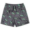 Quiksilver - Kid's Next Gen Volley 14 - Boardshorts Gr 16 Years grau