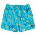 Quiksilver - Kid's Next Gen Volley 14 - Boardshorts Gr 10 Years türkis/blau