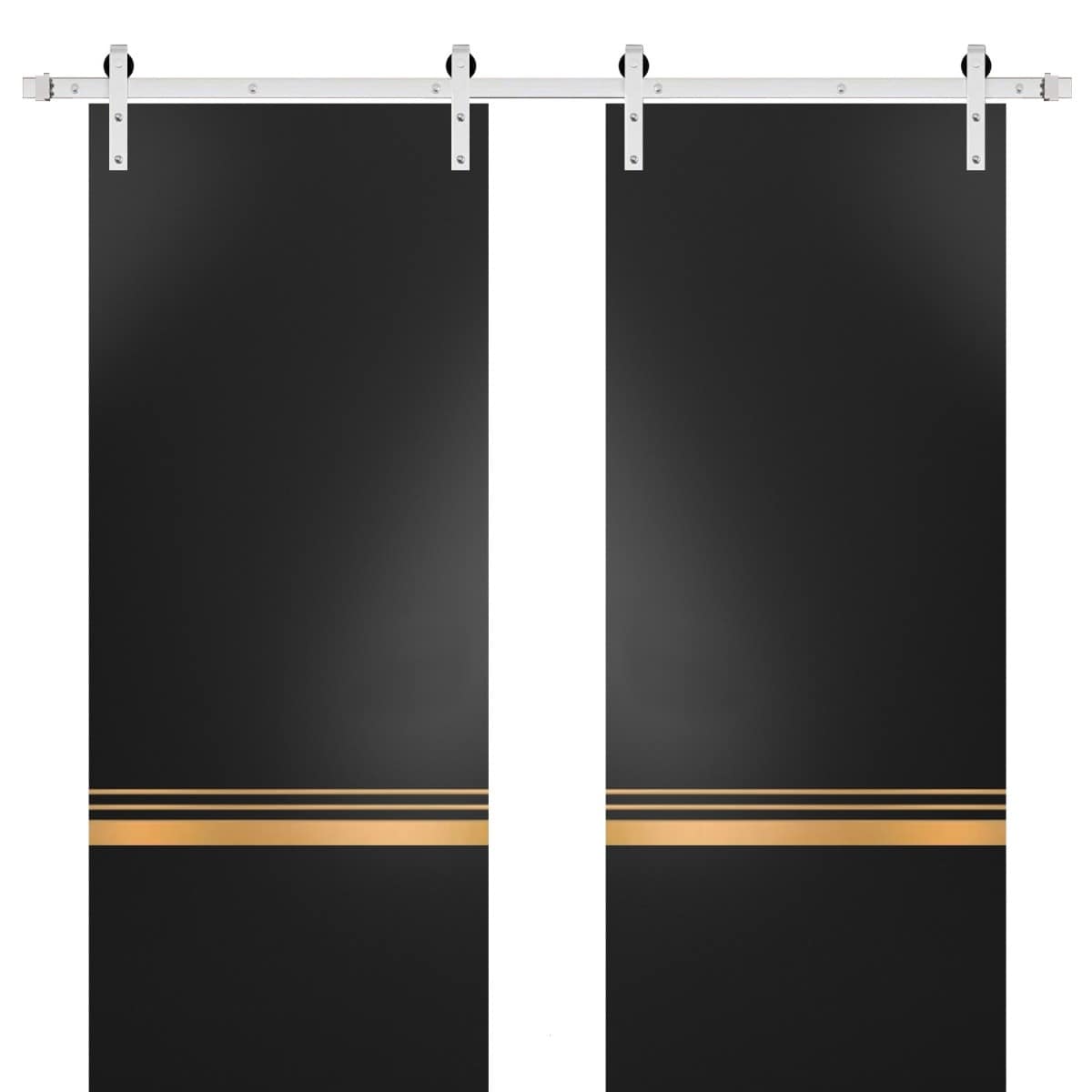 Sturdy Double Barn Door 36 x 80 with Planum 2010 Matte Black with 13FT
