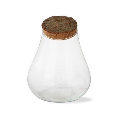 Recycled Glass Slant Top Terrarium