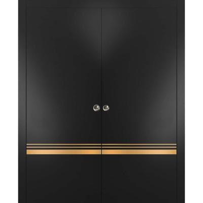 French Double Pocket Doors 36x80 Planum 2010 Matte Black Kit Trims Rail