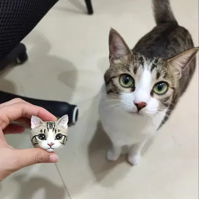 3D-dimensionales Haustier-Katzenporträt, Haustier, personalisiertes Gedenkpflaster für Katzen und Image