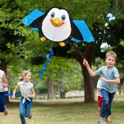 1.6m Tail Fly Wind Kite Easy To Fly Primary Stunt Kite with Handle Colorful Flight Kite Enhance