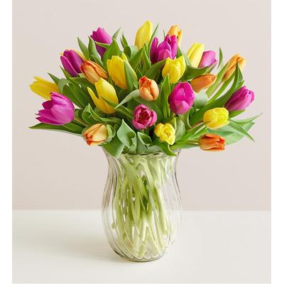 1-800-Flowers Flower Delivery Assorted Tulips 30 Stems W/ Clear Vase