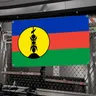 1pc Neue Kaledonia Flagge Flaggen Und Banner Vier Loch Flagge Polyester Outdoor Decor Zimmer Ästhetische