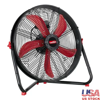 Fans