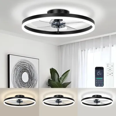 Ceiling+Fans