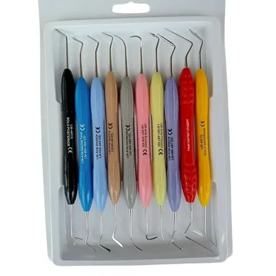 German LM Arte Composite Filling Instruments, Silicone Handle, Set of 10